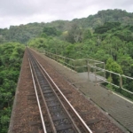 Chemin de fer…de Regifercam à Camrail, un véritable lien d’amour avec le peuple Bassa
